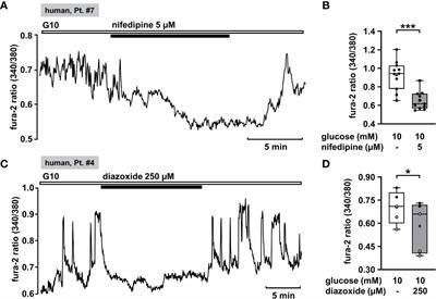Possible New Strategies for the Treatment of Congenital Hyperinsulinism